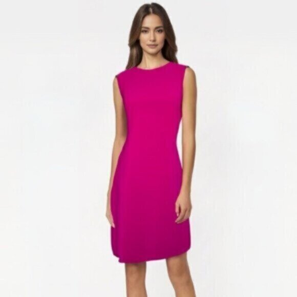 Lauren Ralph Lauren Pink Crepe A-Line Mini Dress - Picture 1 of 11
